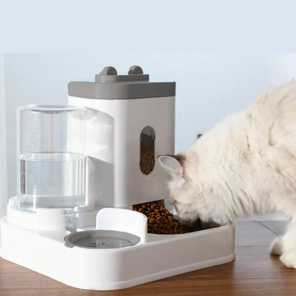 Cat & Dog Food Bowl Set with Water Feeder